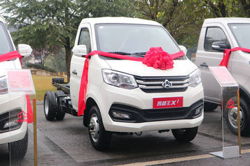 跨越王X1&nbsp;垃圾运输车图片