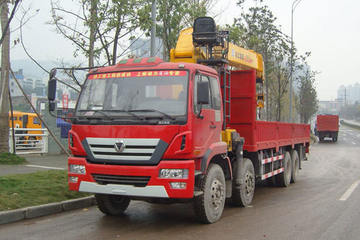 瑞龙&nbsp;随车吊图片